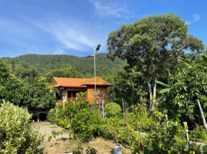 Nana Home, Entire Amazing Wooden Chalet